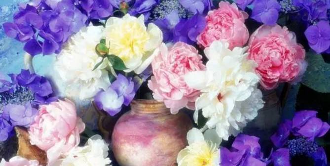 最美最酷的拉丁舞蹈音乐,拉丁舞特色音乐