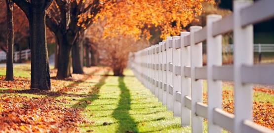 最美最酷的拉丁舞蹈音乐,拉丁舞特色音乐