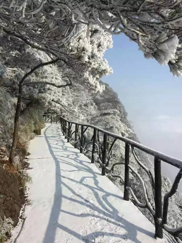 雪竟下得那么认真？居然感动了孟非踏雪来到江西，等不及了快上车