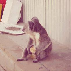 冲壳子丨自从买了这件衣服，去哪吃饭都不要钱！你值得拥有！