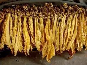 十年前的保定儿童医院老照片,小儿麻痹保定