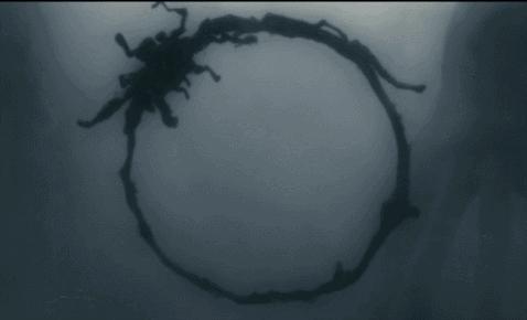 这部让人敬畏的神片，硬盘里该有