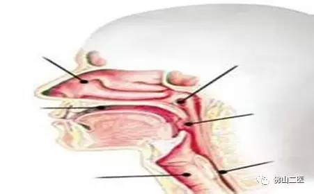 「新技术」评价吞咽障碍的“金标准”佛山二医成功开展首例吞咽造影检查