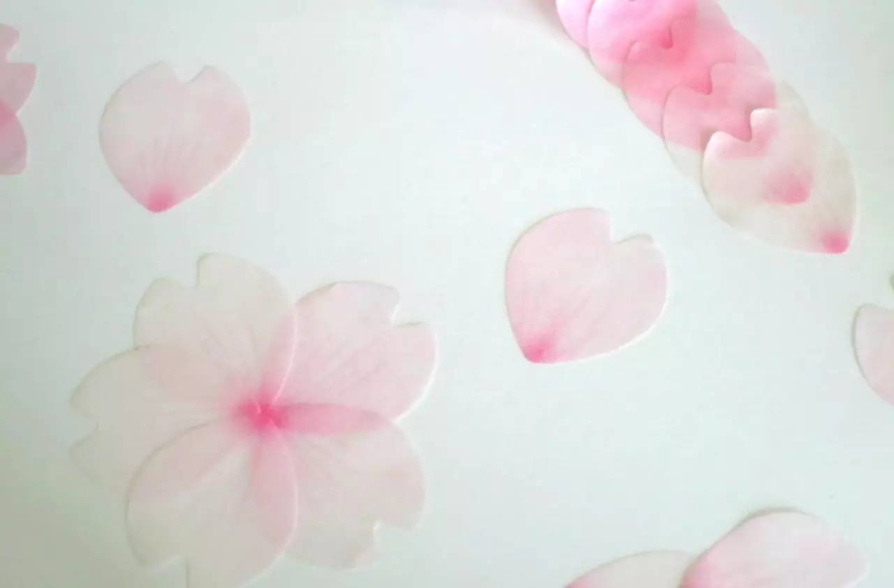 日本和风纸胶带,日本樱花纸胶带