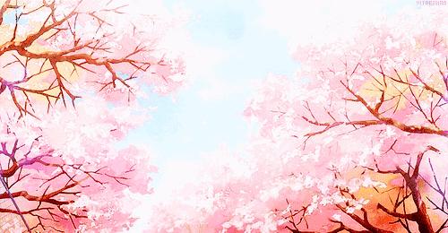 姑娘，我们一起去吃樱花吧！春日24款樱花限定小食已上线！