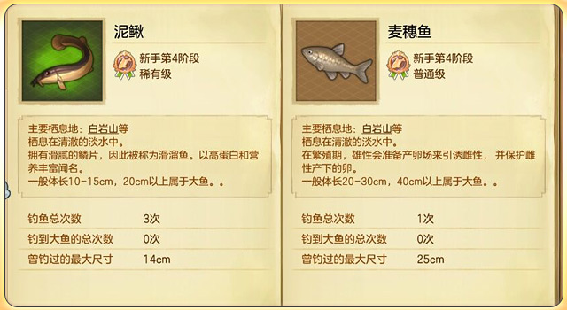 冒险岛2能钓鱼赚钱攻略,冒险岛2钓鱼能钓什么装备