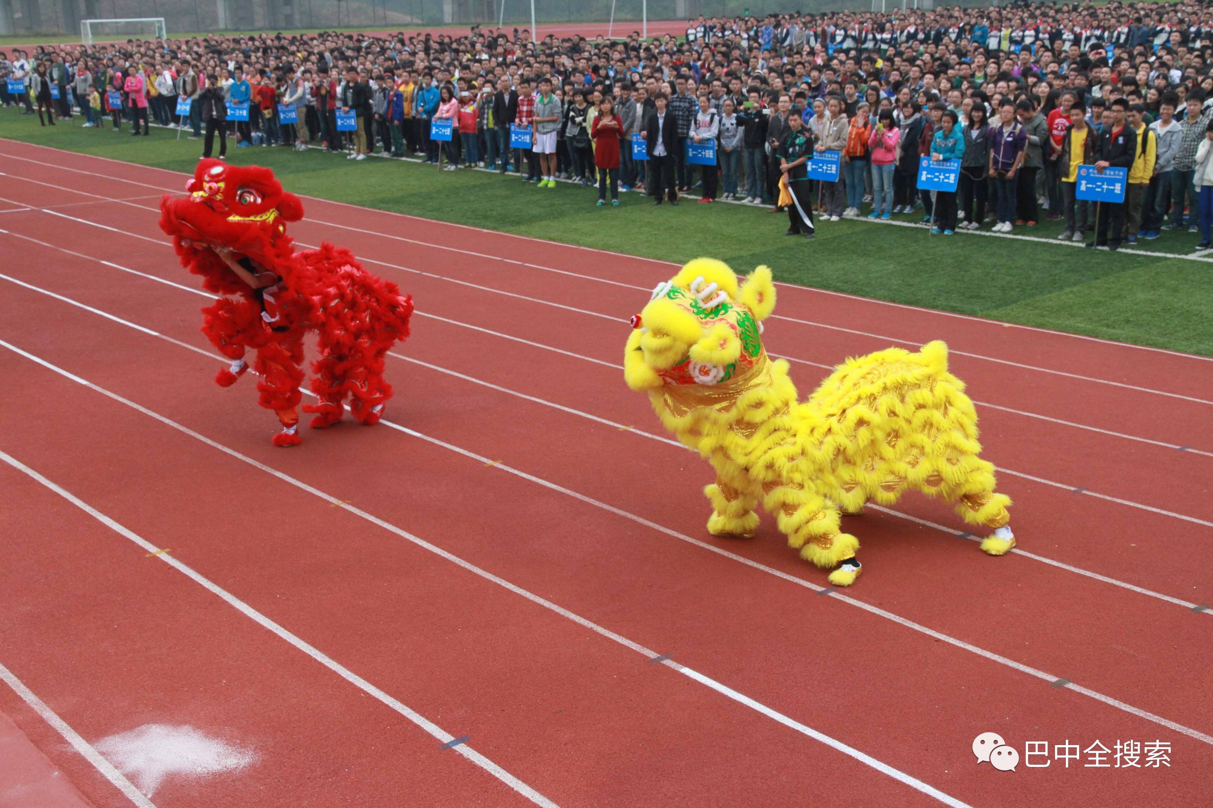 想考绵阳中学要在哪个初中读书,想在绵阳读小学