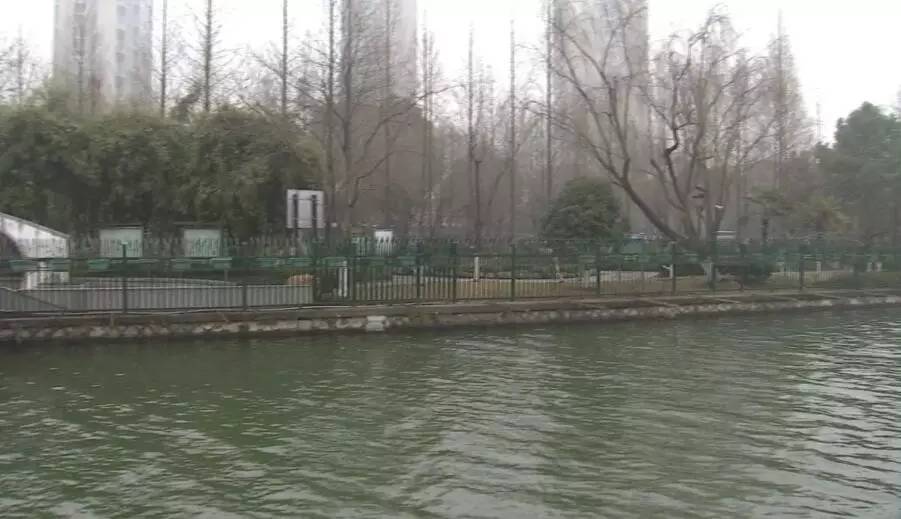 这份为了杭州的“垂直绿化”倡议书，请您查收！