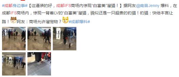 成都有哪些商场值得去,成都可以带宠物玩耍的地方