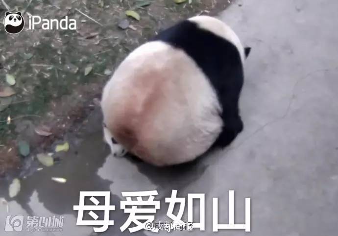 冲壳子丨自从买了这件衣服，去哪吃饭都不要钱！你值得拥有！