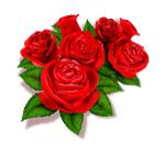 「成功案例」（第1584例）记忆中，宣威的许愿石——林老五（宁选艳）回家