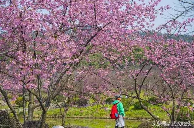 去绿道最好的方法,走东湖绿道最佳路线