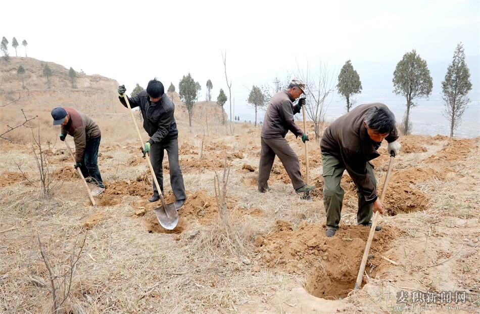 麦积区成纪新城峡口片区规划,甘肃省天水市麦积区城市规划图