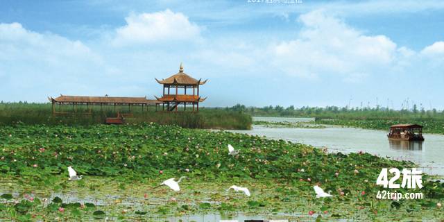 赛事推荐赛事,近期全国比赛报名