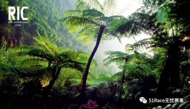 赛事推荐赛事,近期全国比赛报名