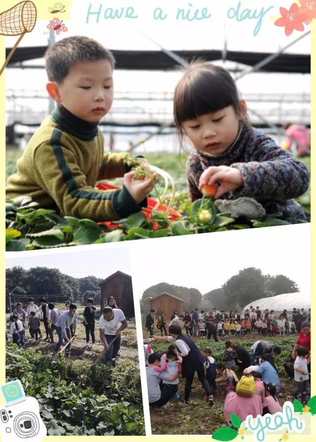 余杭最好吃的草莓,全国精品草莓金奖