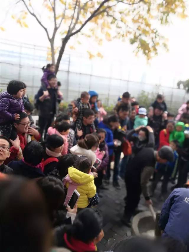 余杭最好吃的草莓,全国精品草莓金奖