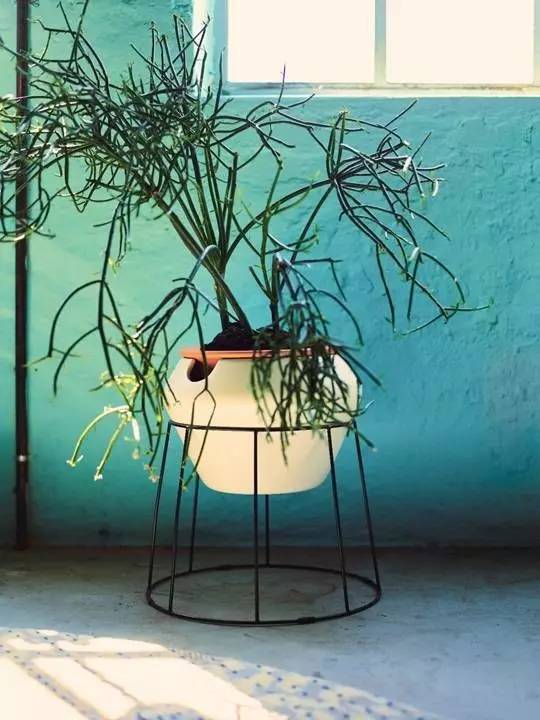 一口气推出了50多款PS新品，宜家彻底放飞了自我！挂到墙上的沙发、自动浇水的花盆……错过等3年