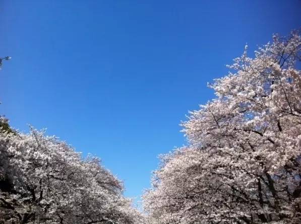 化妆品系列之二：资生堂作为日本首家西式调剂药房在银座成立名称源自中国《易经》