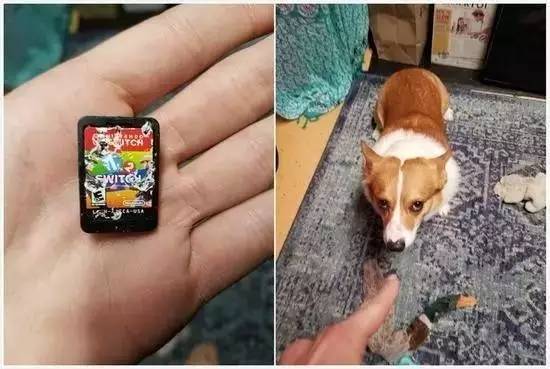 任天堂的粉丝干了件脑洞大开的事，这全都是Switch惹的祸！