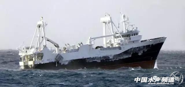 阿拉斯加从几个月开始进入猛涨期,阿拉斯加的行情