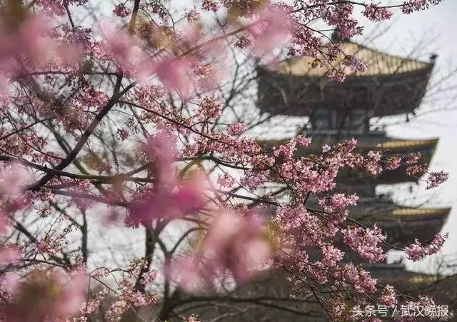 去绿道最好的方法,走东湖绿道最佳路线