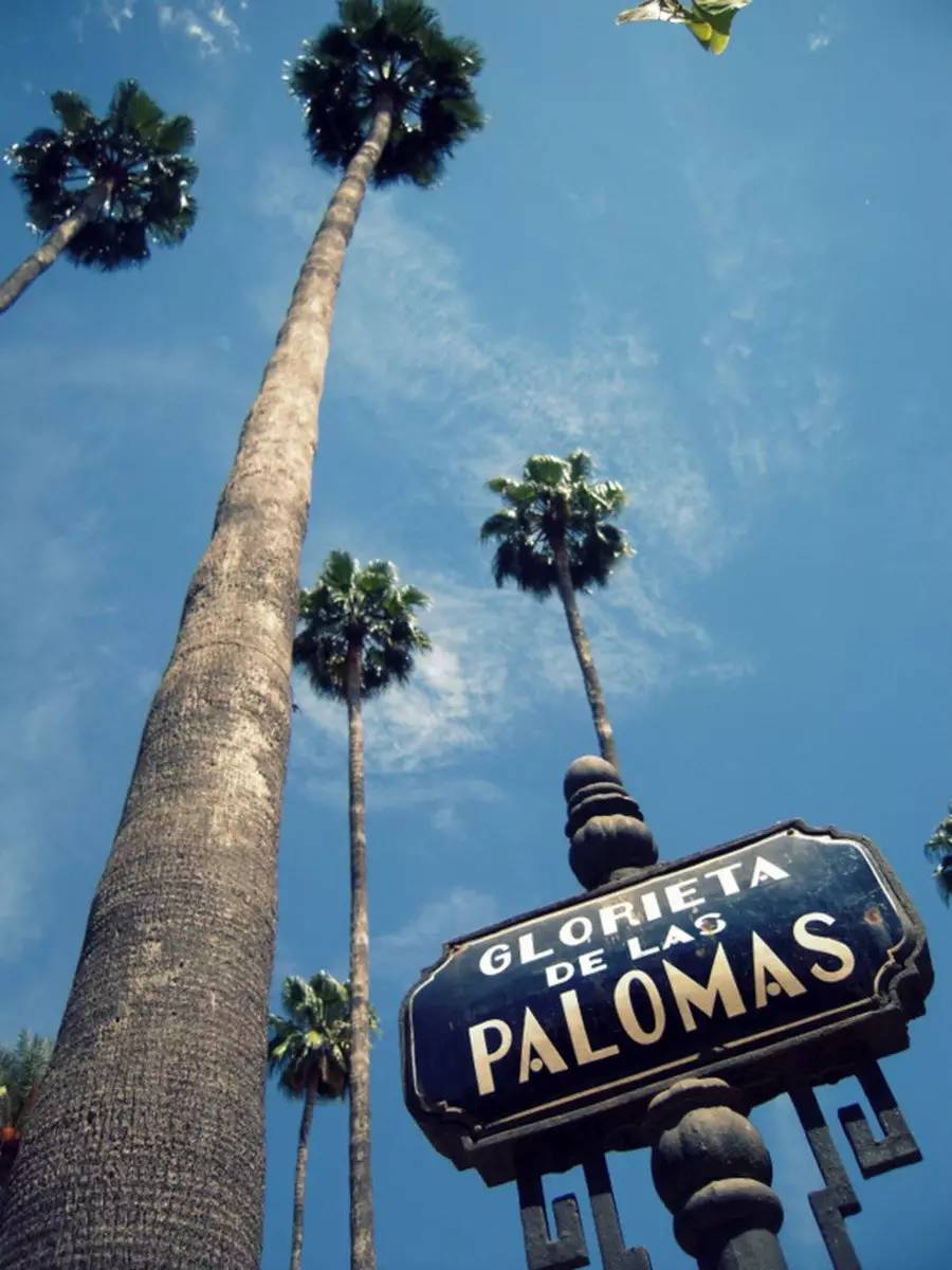 人人都爱粤语版,人人都爱粤语