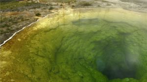 要上天的音效,乐视音响301s与屏霸的区别