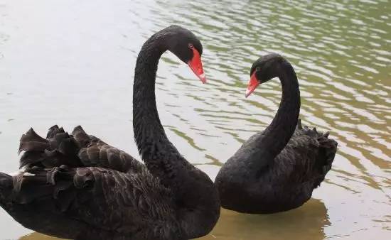 韩国旅游业最新消息,韩国旅游业现状最新消息