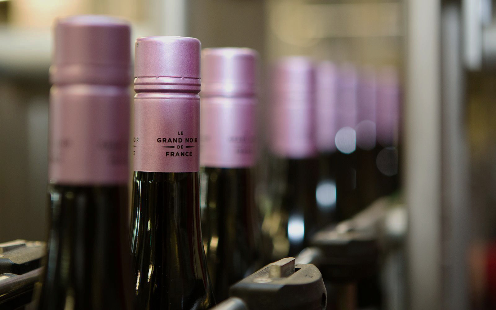 真正的美酒，是上帝的血液（法国大黑羊）