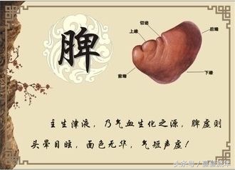 肝毒素太多有什么表现,肝脾肾三脏失调引起什么症状