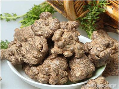 三七对脑梗塞功效与作用,脑梗塞吃药可以吃三七吗