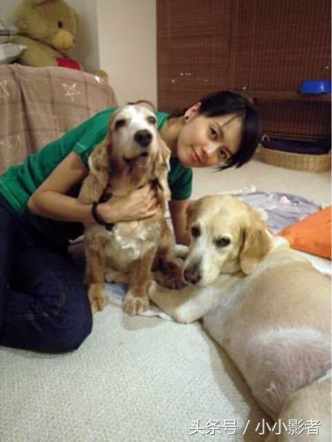 中韩女星同框对比高圆圆,女星素颜大比拼