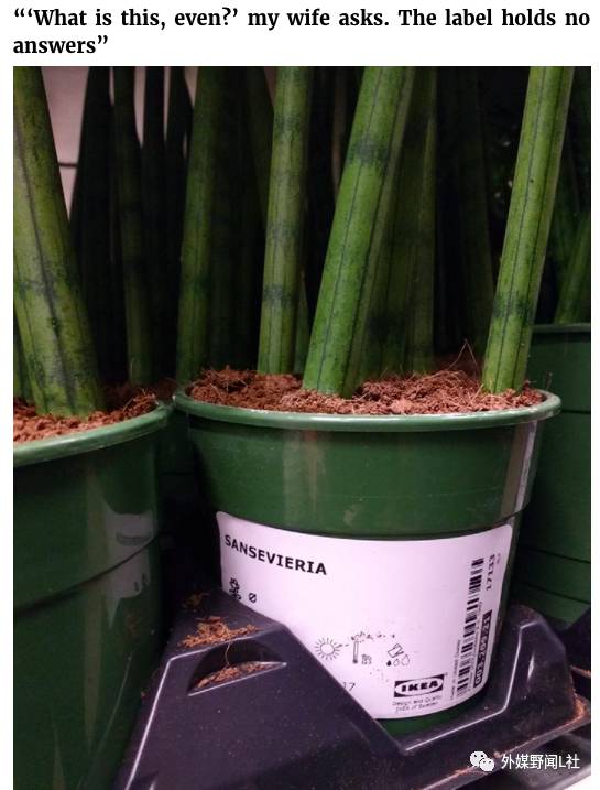 啥都有了还想逛？你家有没有一个酷爱在宜家乱买东西的女人？