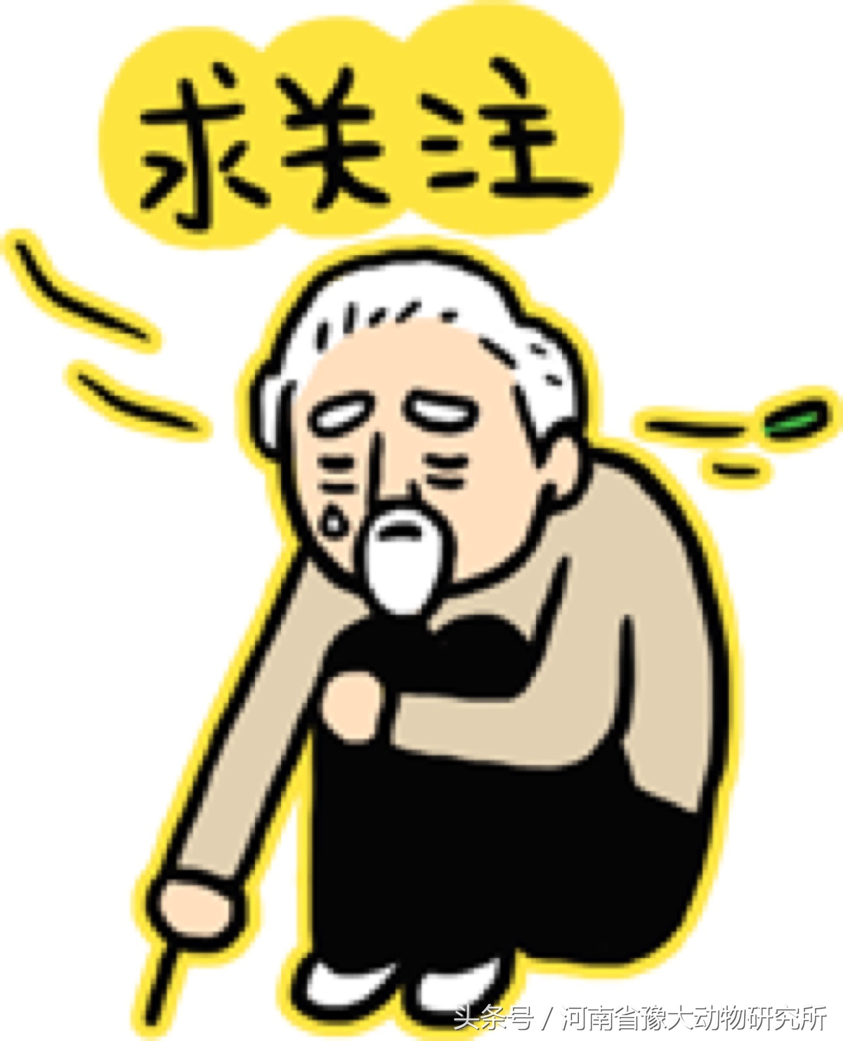 仔猪补铁的不良反应,哺乳仔猪补铁过敏反应及治疗