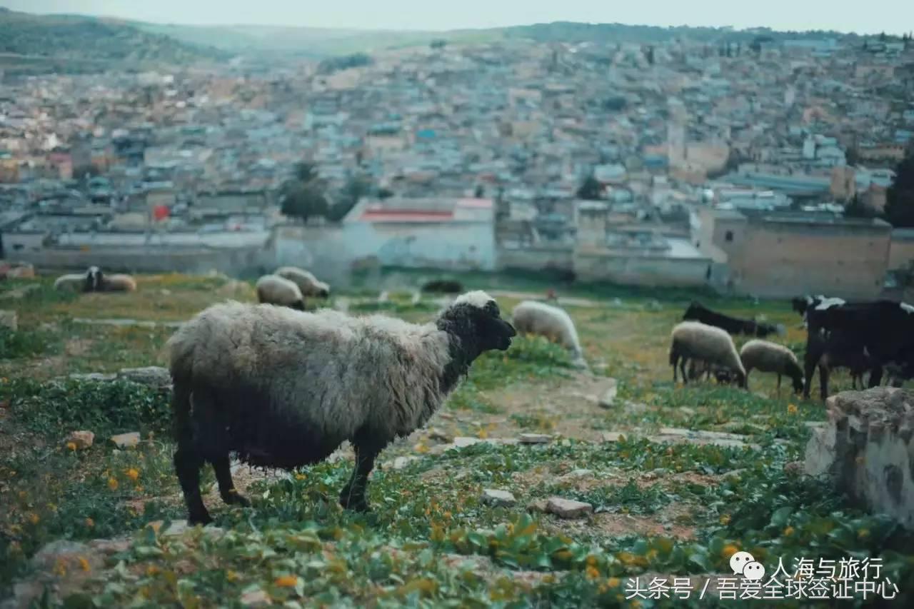 摩洛哥自由行全攻略 (最全的摩洛哥攻略)