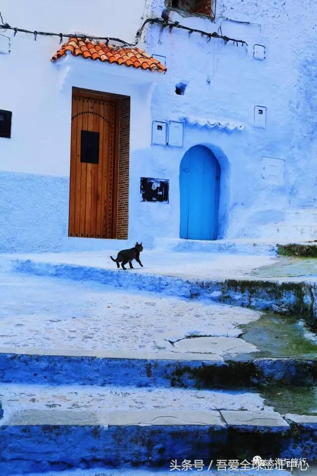 摩洛哥自由行全攻略 (最全的摩洛哥攻略)