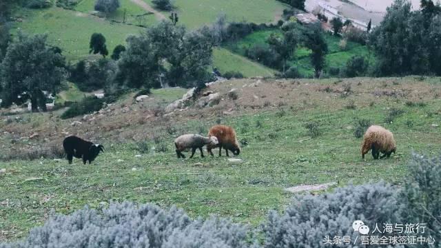 摩洛哥自由行全攻略 (最全的摩洛哥攻略)