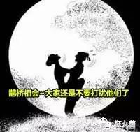 因为这7款小游戏，我从大老板沦落到当牛郎陪睡