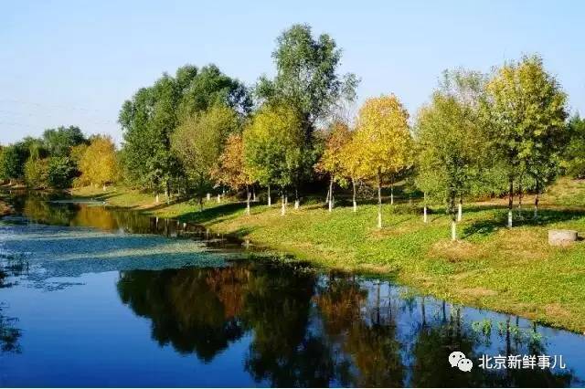 北京最美赏花公园在哪,北京赏花公园景点推荐