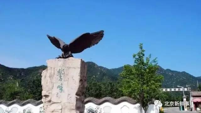 北京最美赏花公园在哪,北京赏花公园景点推荐