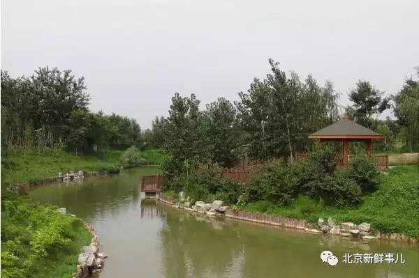 北京最美赏花公园在哪,北京赏花公园景点推荐