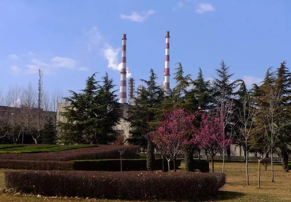 印象渭南：情寄雪梅