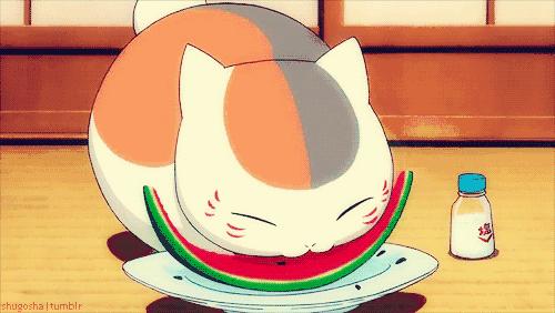 年轻人，想不想亲自去拍个猫片呀！