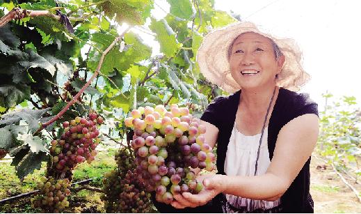 农村土地产权改革作用,农村宅基地改革释放乡村振兴活力