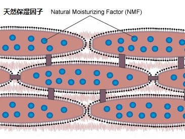 适合30岁左右女性使用的面膜,面膜越敷越老