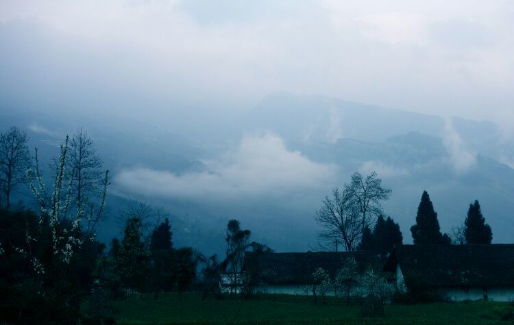 茶马古道丽水金沙,盐茶古道日照