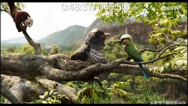 qq多长时间会被收回,qq邮箱长时间不用被收回怎么办