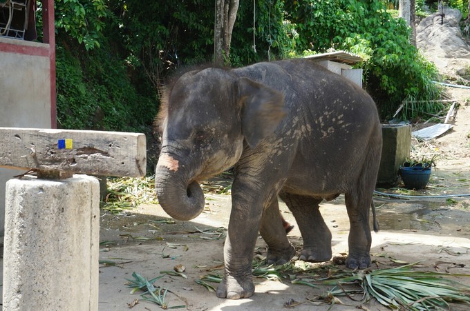 泰国普吉苏梅甲米旅游攻略,泰国游普吉甲米岛六天五晚的报价