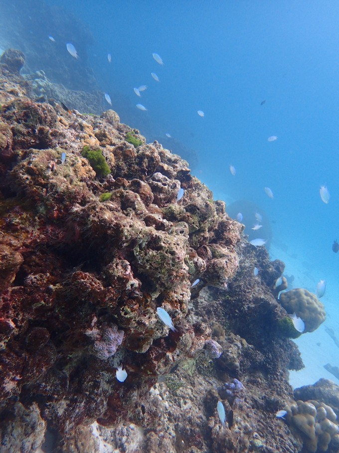 泰国普吉苏梅甲米旅游攻略,泰国游普吉甲米岛六天五晚的报价